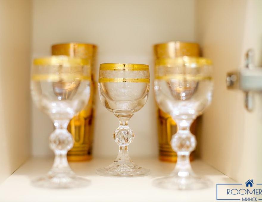 Однокомнатная квартира на сутки в Минске Свердлова кухня