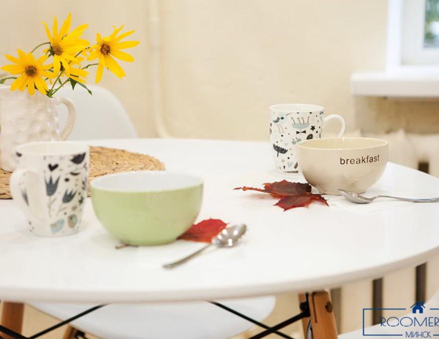 Однокомнатная квартира на сутки в Минске Свердлова кухня