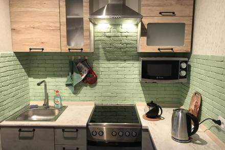 Однокомнатная квартира на сутки в Минске проспект Машерова, 54 кухня
