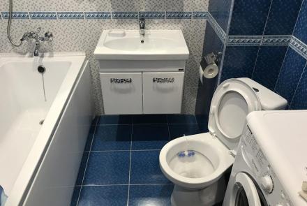 Однокомнатная квартира на сутки в Минске проспект Машерова, 54 ванна