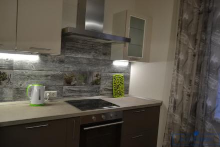 Двухкомнатная квартира в Минске на сутки Грибоедова кухня