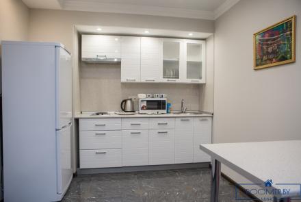 Двухкомнатная квартира на сутки Минск Тимирязева кухня