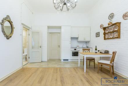 Квартира на сутки в Минске на улице Богдановича, 23 кухня