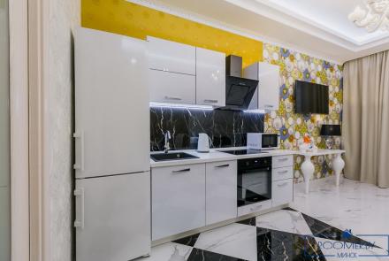 Квартира на сутки в Минске возле метро Немига кухня