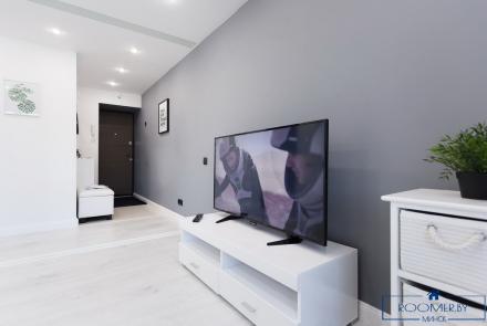 Квартира на сутки в Минске Романовская слобода, 14 гостиная