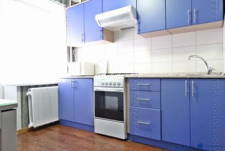 Однокомнатные апартаменты на сутки Минск Мельникайте кухня