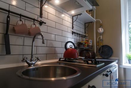 Однокомнатная квартира в Минске на сутки Грибоедова кухня