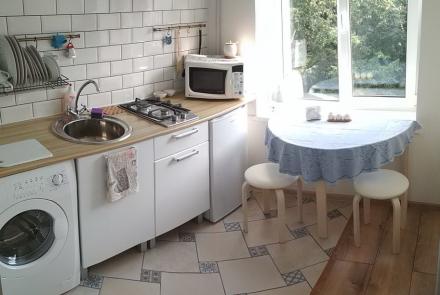 Однокомнатная квартира на сутки в Минске Купалы кухня