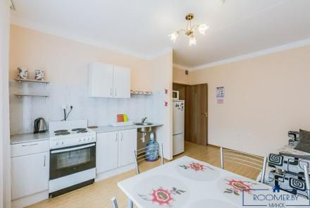 Однокомнатная квартира на сутки Минск Купалы кухня