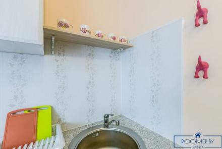 Однокомнатная квартира на сутки Минск Купалы кухня