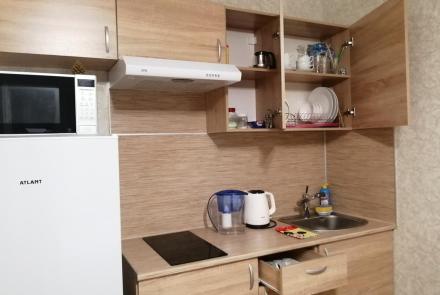 Студия возле метро Кунцевшина в Минске на сутки Тимошенко кухня