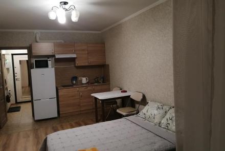 Студия возле метро Кунцевшина в Минске на сутки Тимошенко спальня