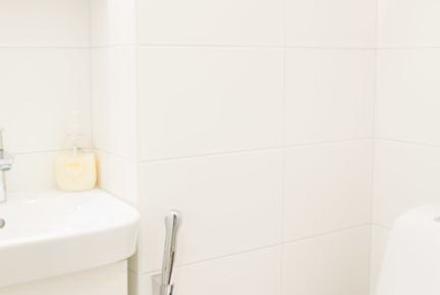 Однокомнатная квартира на сутки в Минске на Притыцкого ванна