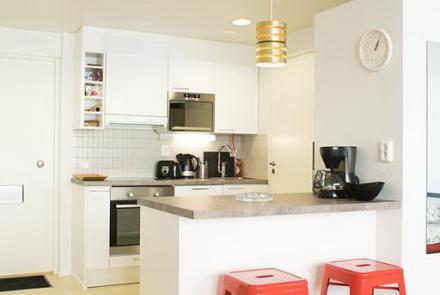 Однокомнатная квартира на сутки в Минске на Притыцкого кухня