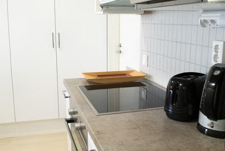 Однокомнатная квартира на сутки в Минске на Притыцкого кухня