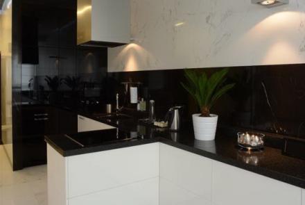 Однокомнатная квартира на сутки в Минске на Притыцкого кухня