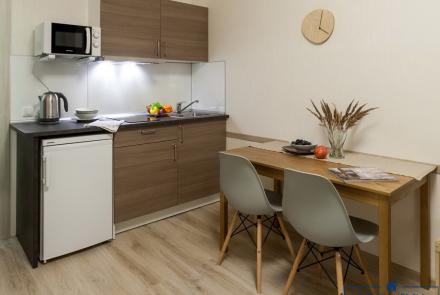 Квартира на сутки в Минске возле метро Кунцевщина кухня