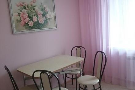 Однокомнатная квартира на сутки в Минске Ольшевского кухня