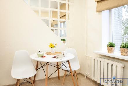 Однокомнатная квартира на сутки в Минске Свердлова кухня