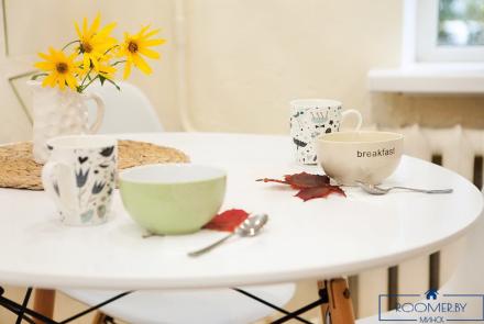 Однокомнатная квартира на сутки в Минске Свердлова кухня