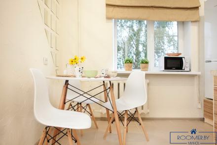 Однокомнатная квартира на сутки в Минске Свердлова кухня