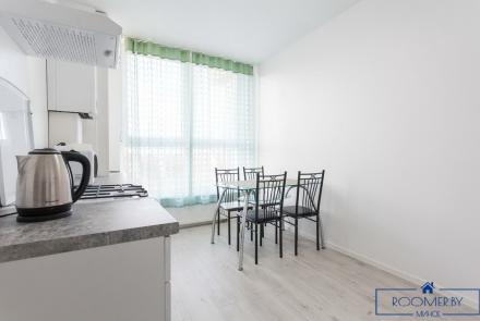 Квартира на сутки в Минске на улице Свердлова, 22 кухня