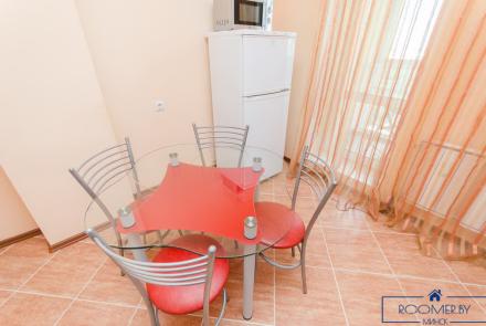 Однокомнатная квартира в Минске на Красноармейской кухня