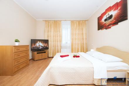 Однокомнатная квартира в Минске на Красноармейской спальня