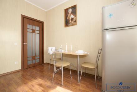 Однокомнатная квартира в Минске на Красноармейской кухня