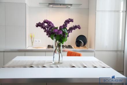 Однокомнатная квартира в Минске на Красноармейской кухня