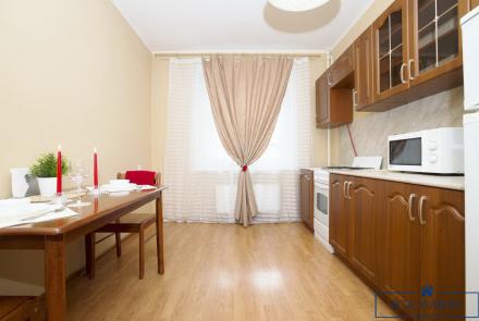 Однокомнатная квартира в Минске на Красноармейской кухня