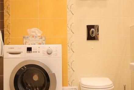 Однокомнатная квартира в Минске на Красноармейской ванна