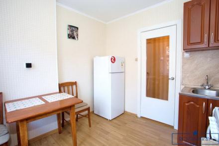 Однокомнатная квартира в Минске на Красноармейской кухня