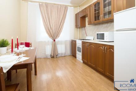 Однокомнатная квартира в Минске на Красноармейской кухня