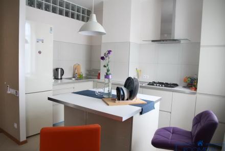 Однокомнатная квартира в Минске на Красноармейской кухня