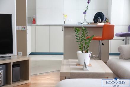 Однокомнатная квартира в Минске на Красноармейской спальня