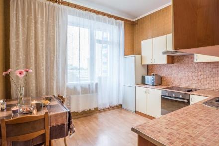 Однокомнатная квартира на сутки в Минске Гурского, 31 кухня