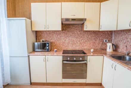 Однокомнатная квартира на сутки в Минске Гурского, 31 кухня