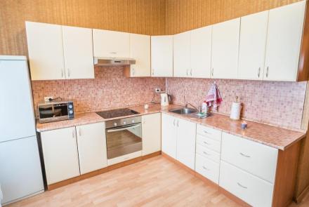 Однокомнатная квартира на сутки в Минске Гурского, 31 кухня