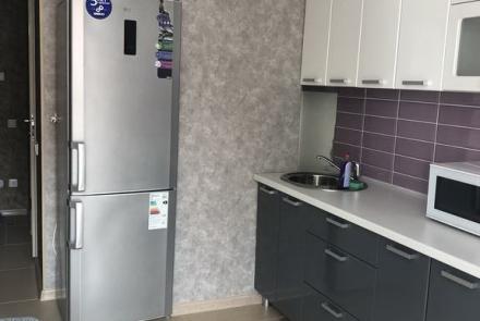 Однокомнатная квартира на сутки Дзержинского кухня