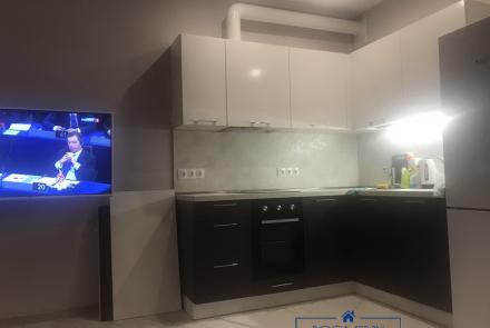 Однокомнатная квартира на сутки Дзержинского кухня