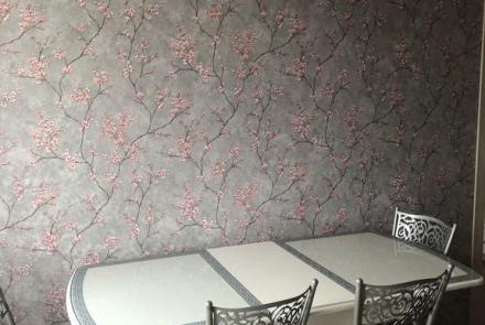 Однокомнатная квартира на сутки Дзержинского кухня