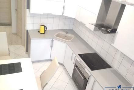 Однокомнатная квартира на сутки Гурского кухня