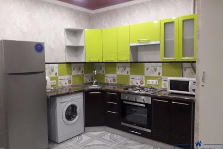 Однокомнатная квартира на сутки Гурского кухня