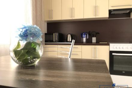 Однокомнатная квартира на сутки Гурского кухня