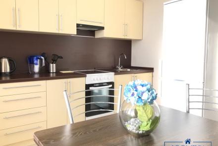 Однокомнатная квартира на сутки Гурского кухня