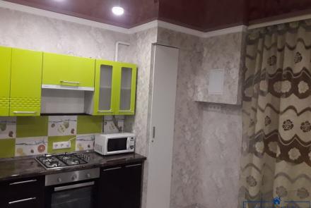 Однокомнатная квартира на сутки Гурского кухня