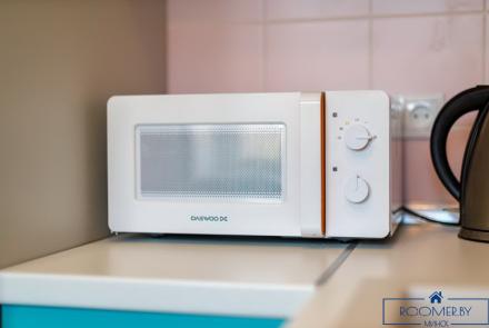 Однокомнатная квартира на сутки Минск Ленинградская кухня