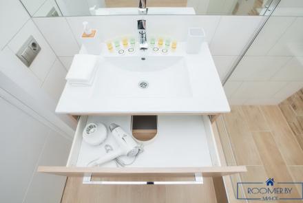 Однокомнатная квартира по проспекту Дзержинского, 11 ванна