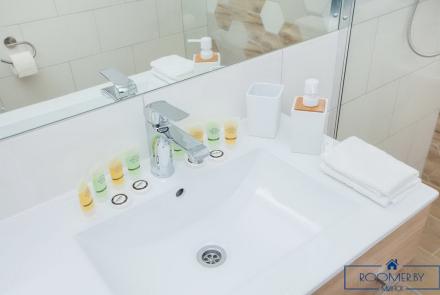 Однокомнатная квартира по проспекту Дзержинского, 11 ванна